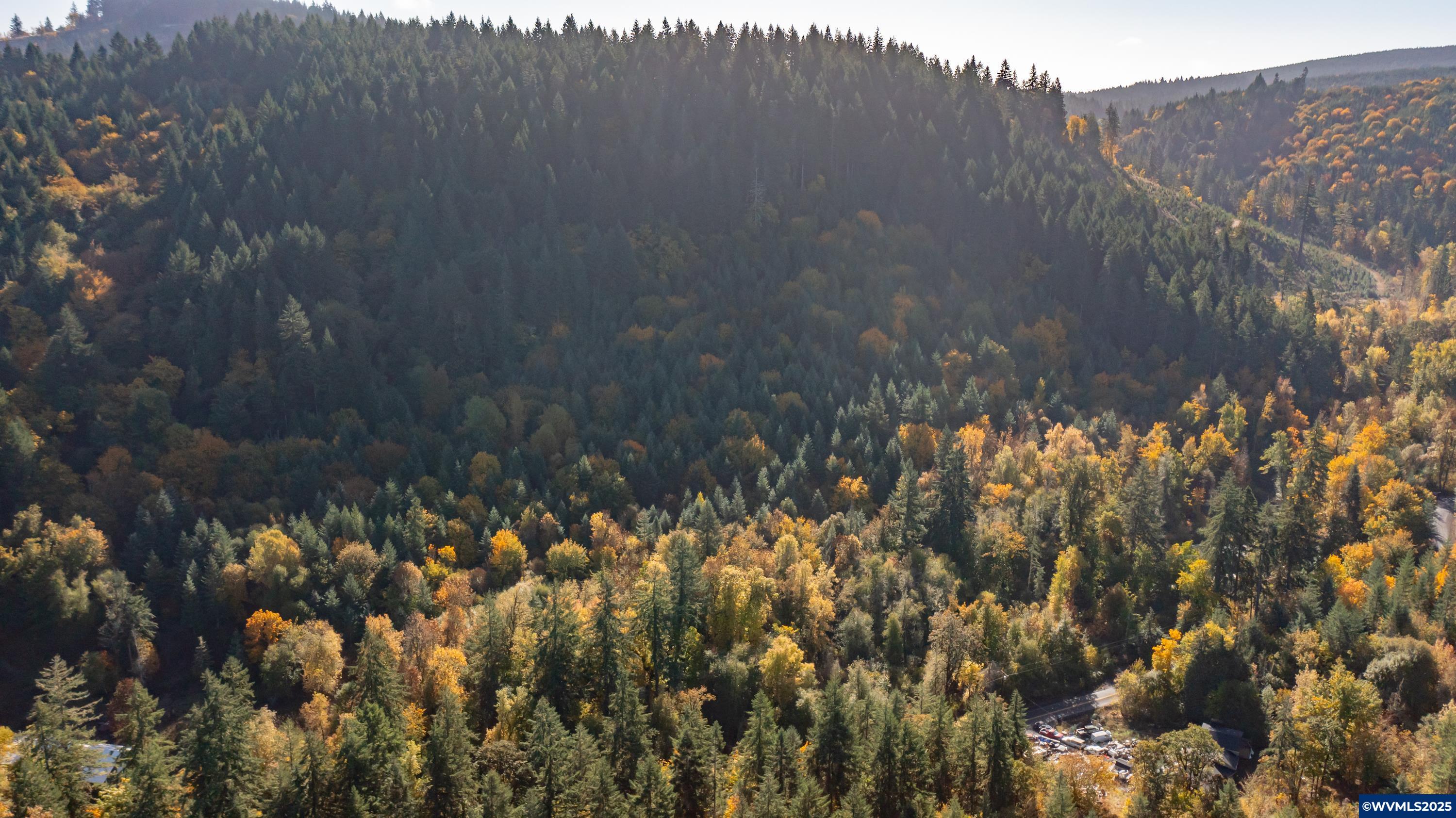 Dallas, Oregon 97338, United States, 2 Bedrooms Bedrooms, ,1 BathroomBathrooms,Residential,Active,231899