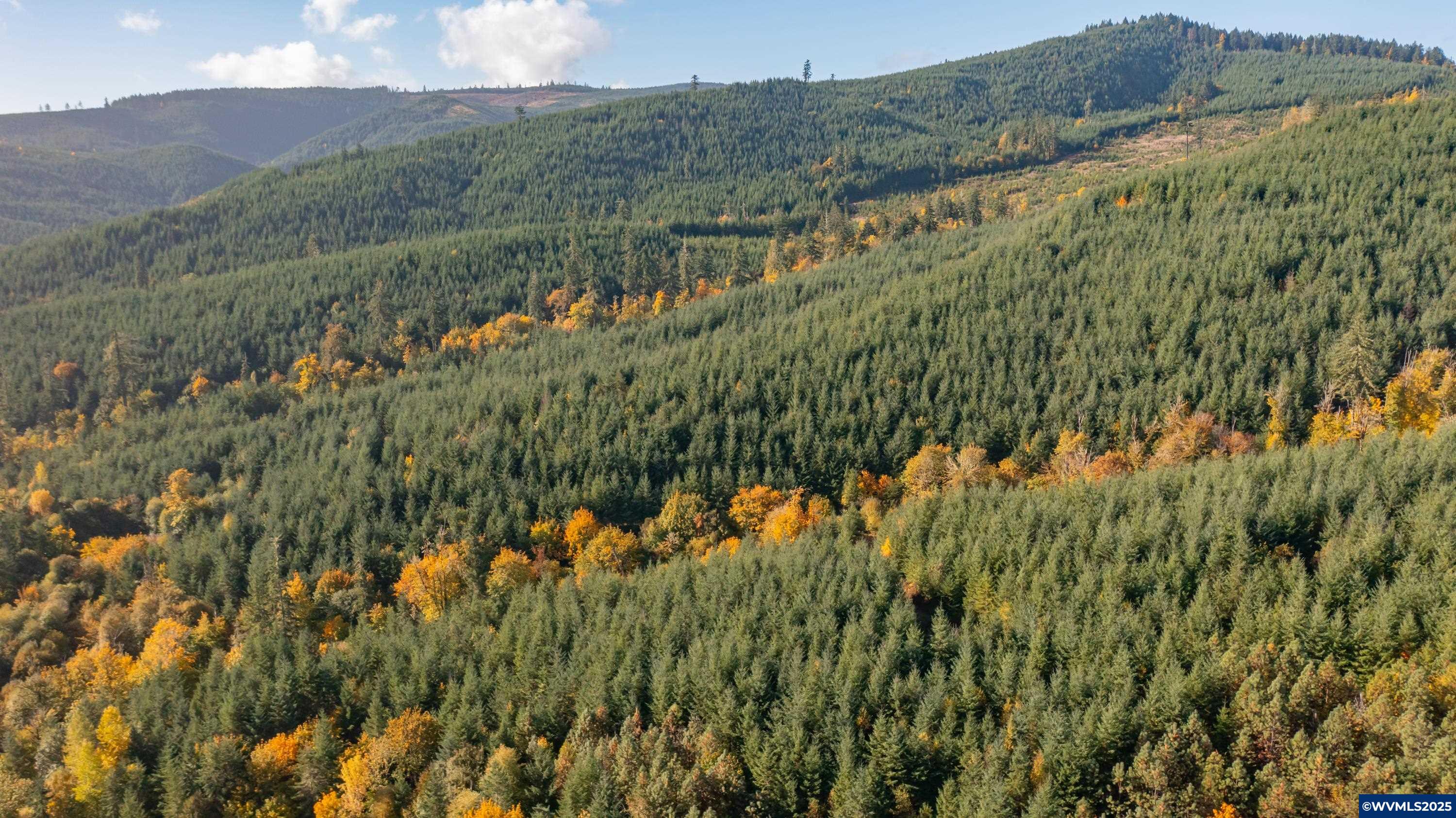 Dallas, Oregon 97338, United States, 2 Bedrooms Bedrooms, ,1 BathroomBathrooms,Residential,Active,231899