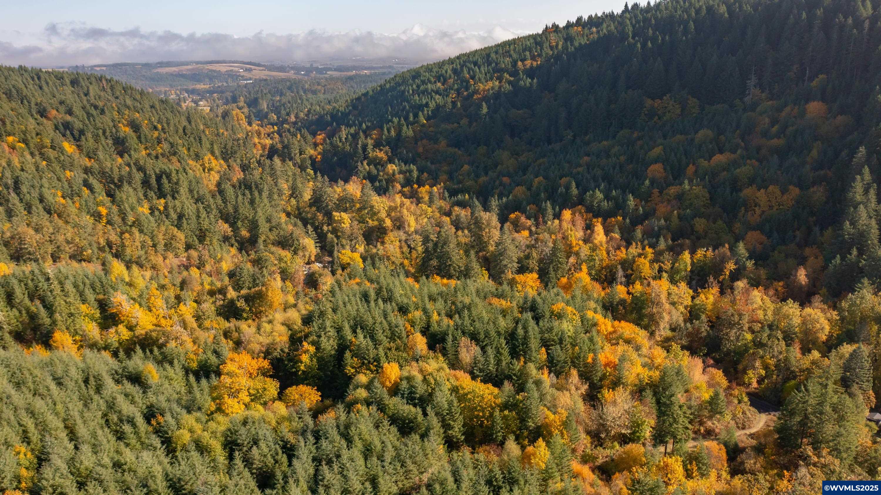 Dallas, Oregon 97338, United States, 2 Bedrooms Bedrooms, ,1 BathroomBathrooms,Residential,Active,231899