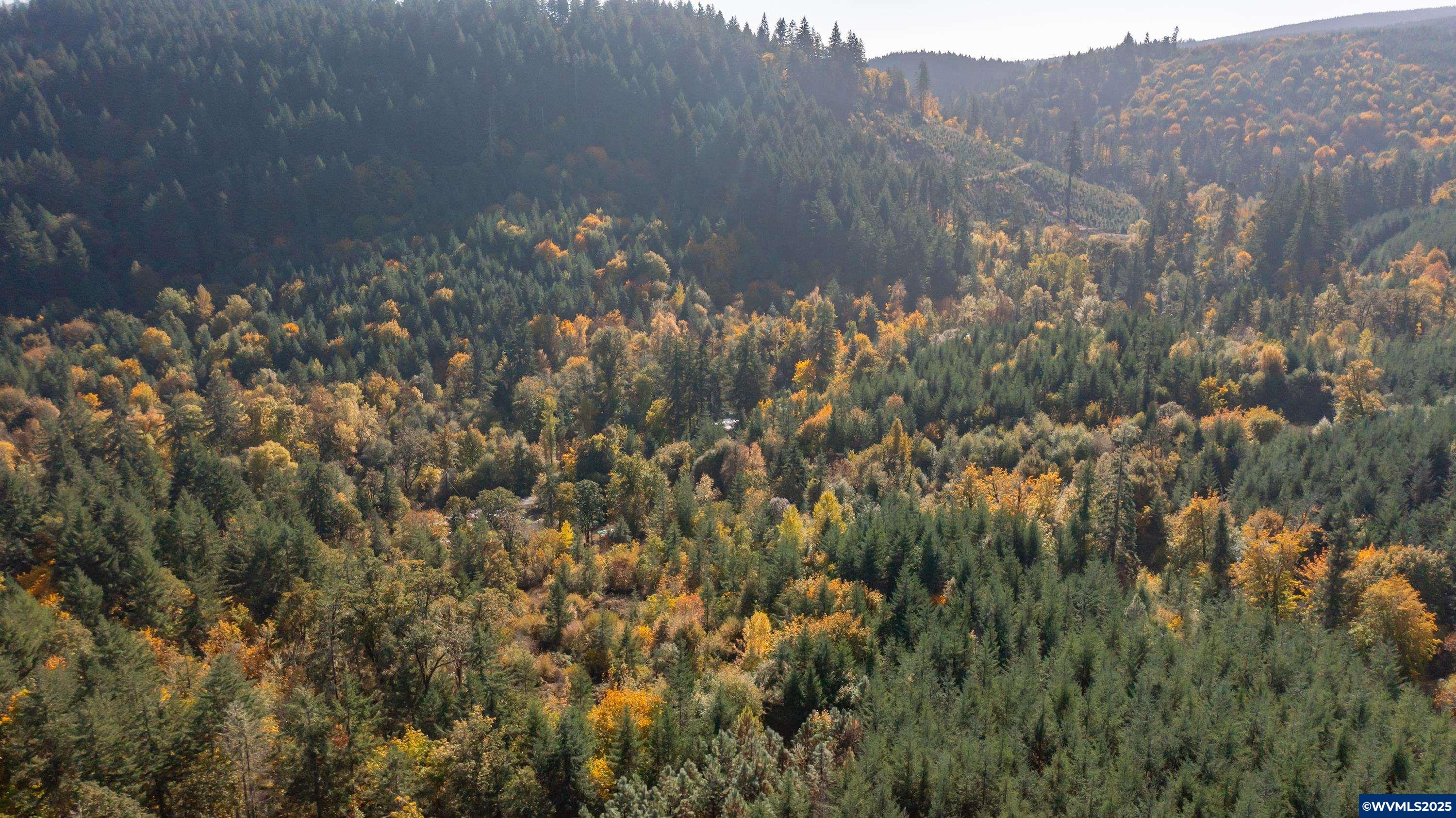 Dallas, Oregon 97338, United States, 2 Bedrooms Bedrooms, ,1 BathroomBathrooms,Residential,Active,231899