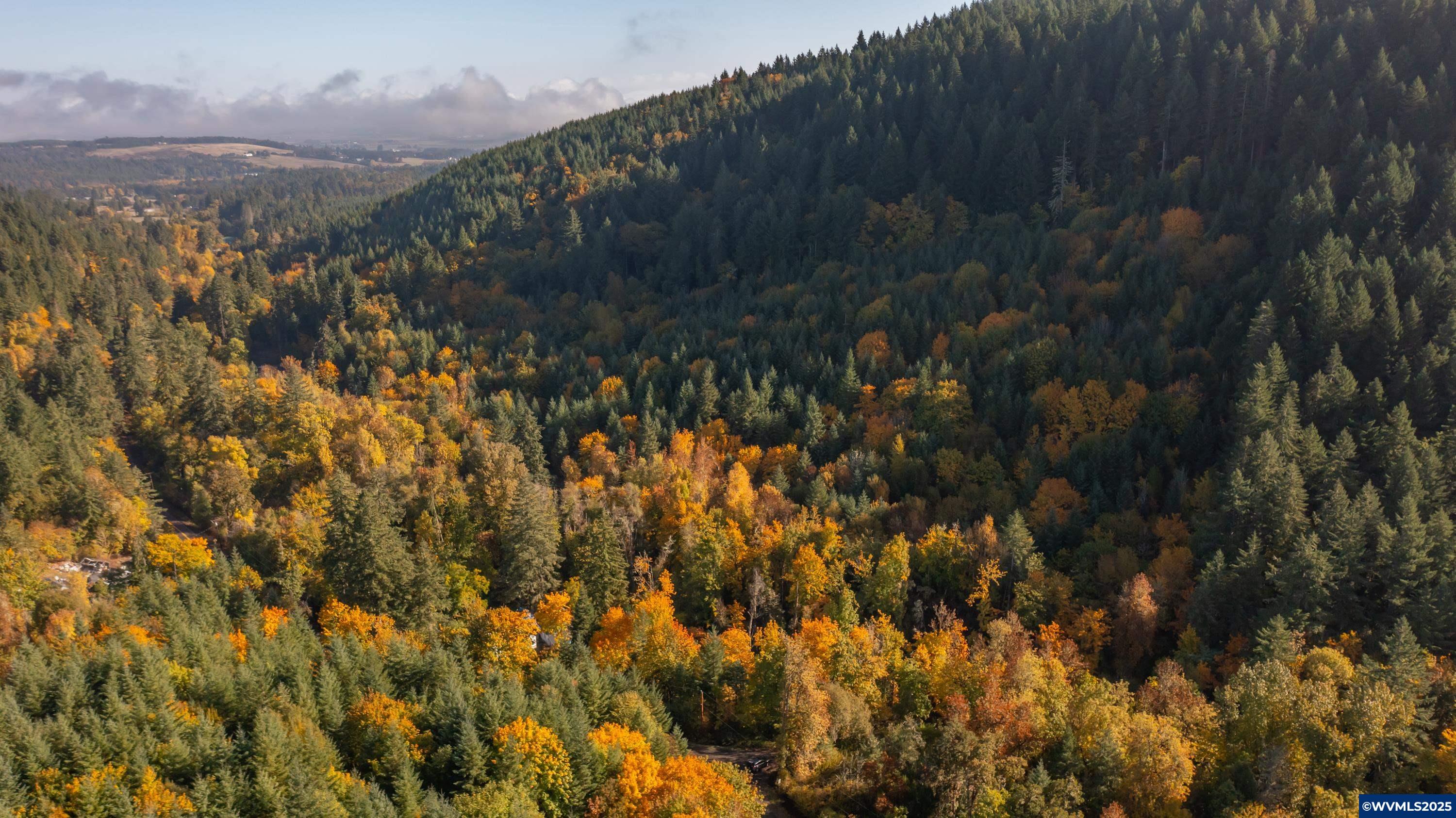 Dallas, Oregon 97338, United States, 2 Bedrooms Bedrooms, ,1 BathroomBathrooms,Residential,Active,231899