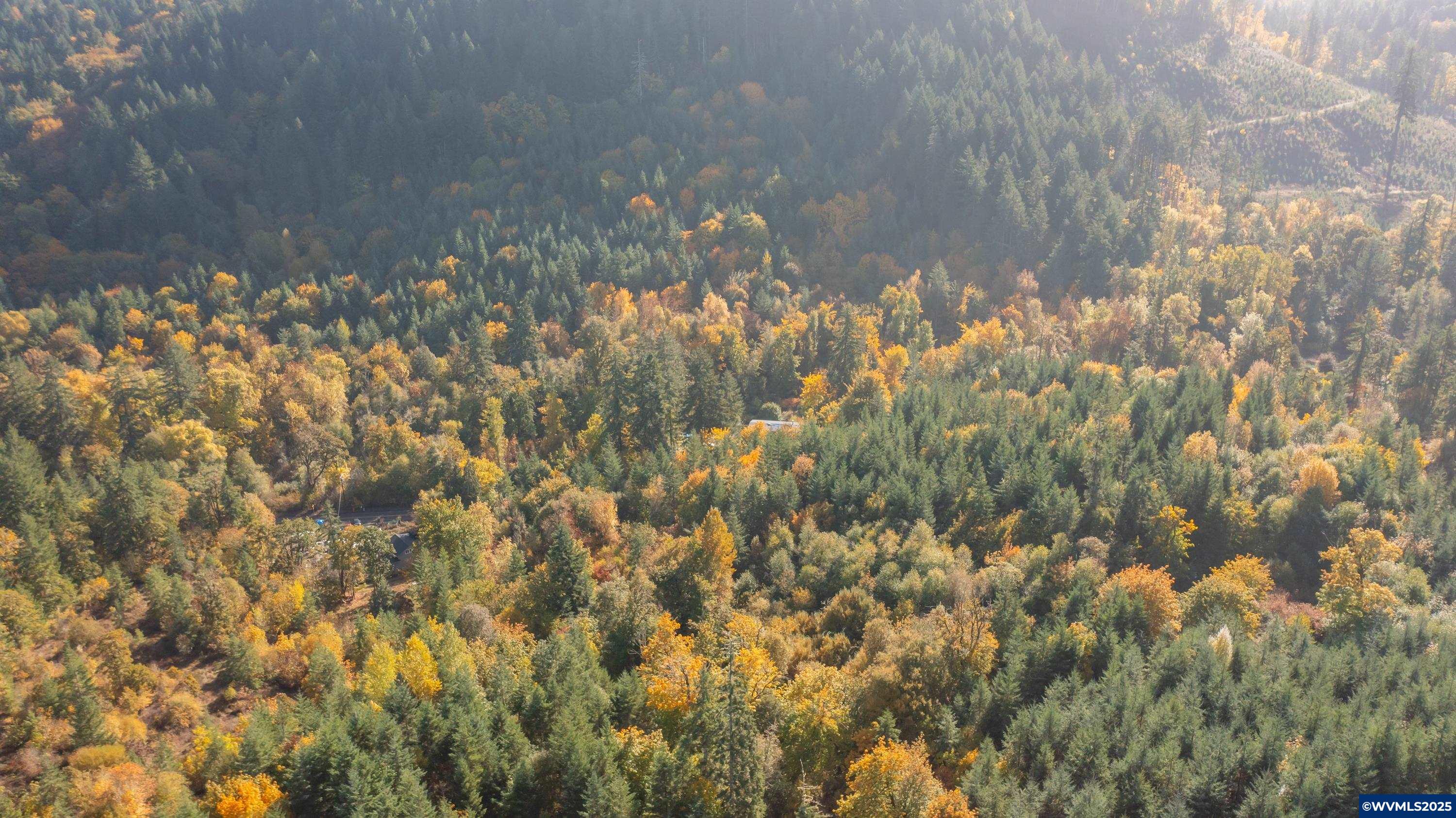 Dallas, Oregon 97338, United States, 2 Bedrooms Bedrooms, ,1 BathroomBathrooms,Residential,Active,231899