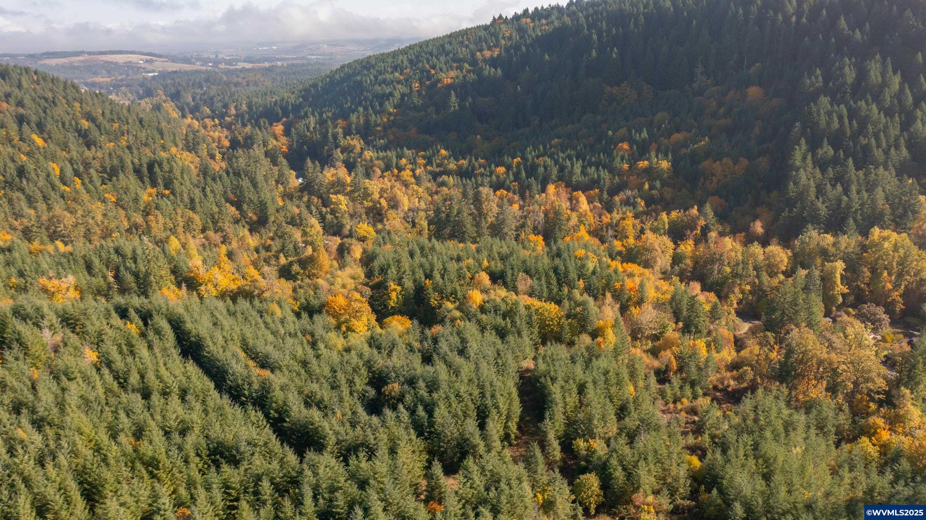 Dallas, Oregon 97338, United States, 2 Bedrooms Bedrooms, ,1 BathroomBathrooms,Residential,Active,231899