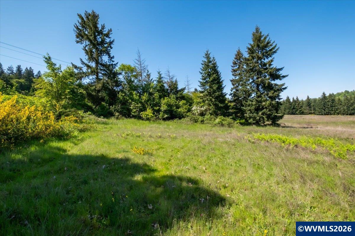 TA-Multiple(3) Orchard Tract/Shady Oak
