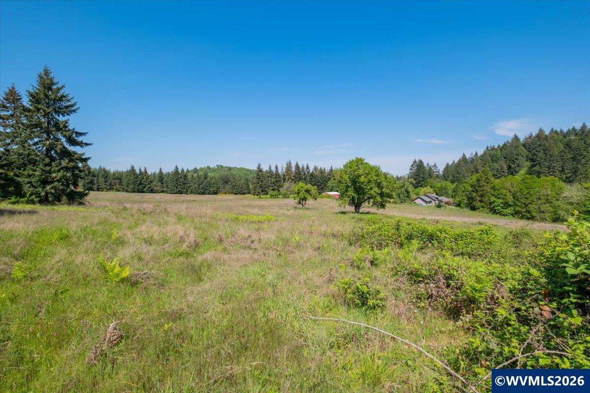 TA-Multiple(3) Orchard Tract/Shady Oak