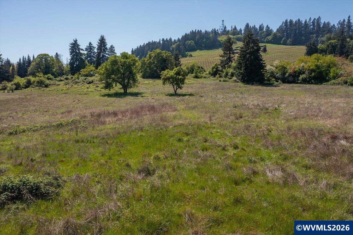 TA-Multiple(3) Orchard Tract/Shady Oak