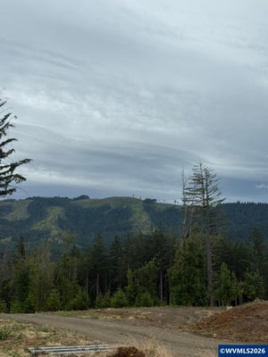 5595 VIOLET DR, SHERIDAN, OR 97378 - Image 394d544c0fa9e8caa8d454263911bd25/526576598