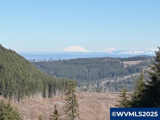 0 POWERS CREEK (NORTH) LP, SILVERTON, OR 97381 - Image 39daf3761423b843eb4cb2f22ffa48ef/2229684867