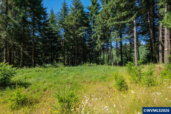 432 CHAMBERLAIN RD, FALLS CITY, OR 97344 - Image 3b3f6f4d36c1da19bfcaf85503279122/37863562