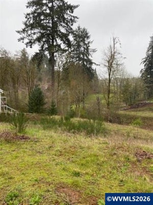 535 SAHALEE DR SE, SALEM, OR 97306 - Image 3cde98b685714f4f1e5c1093407b1b3f/2295192552