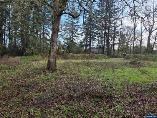 33058 BREWSTER RD, LEBANON, OR 97355 - Image 3d49fccc9cb7e4d97ae35706e111bea5/1045326272