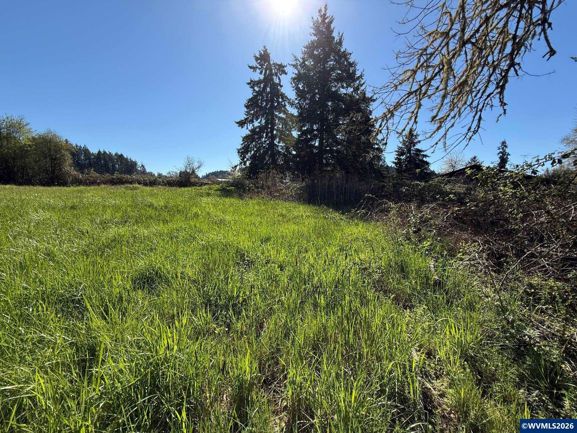 40144 Big Fall Creek Rd