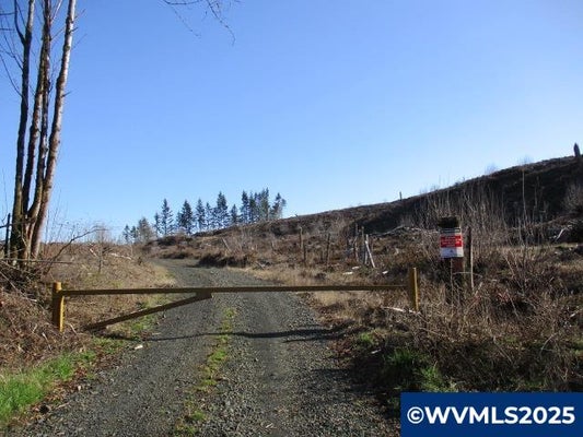 ABIQUA DAM RD, SILVERTON, OR 97381 - Image 436d3a5fe8a00aa45a1385f890848dea/3621406991