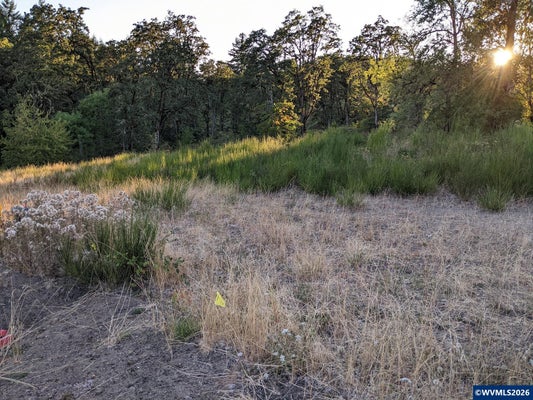 3700 NW GOLDFINCH DR, CORVALLIS, OR 97330 - Image 46be46f86aca8f5fa2ceab6cb9334dfd/2015375651
