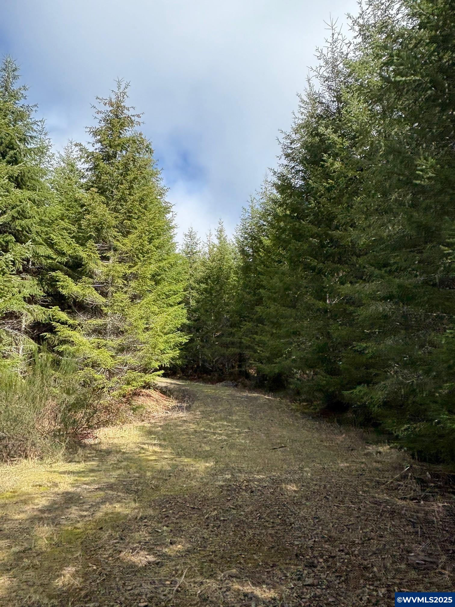 0 Boiler Creek Rd