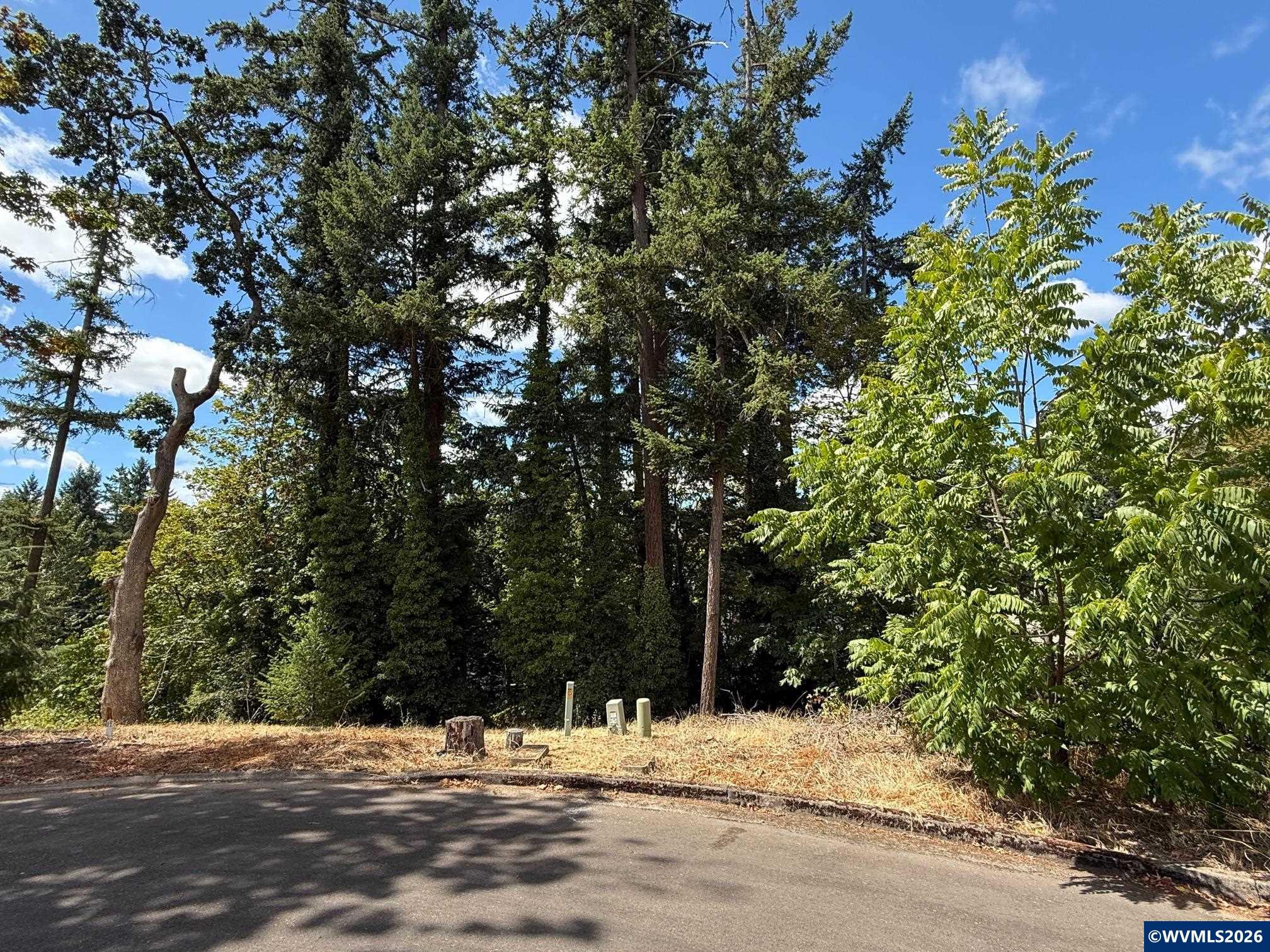 621 Timber View Lot 11 St NW