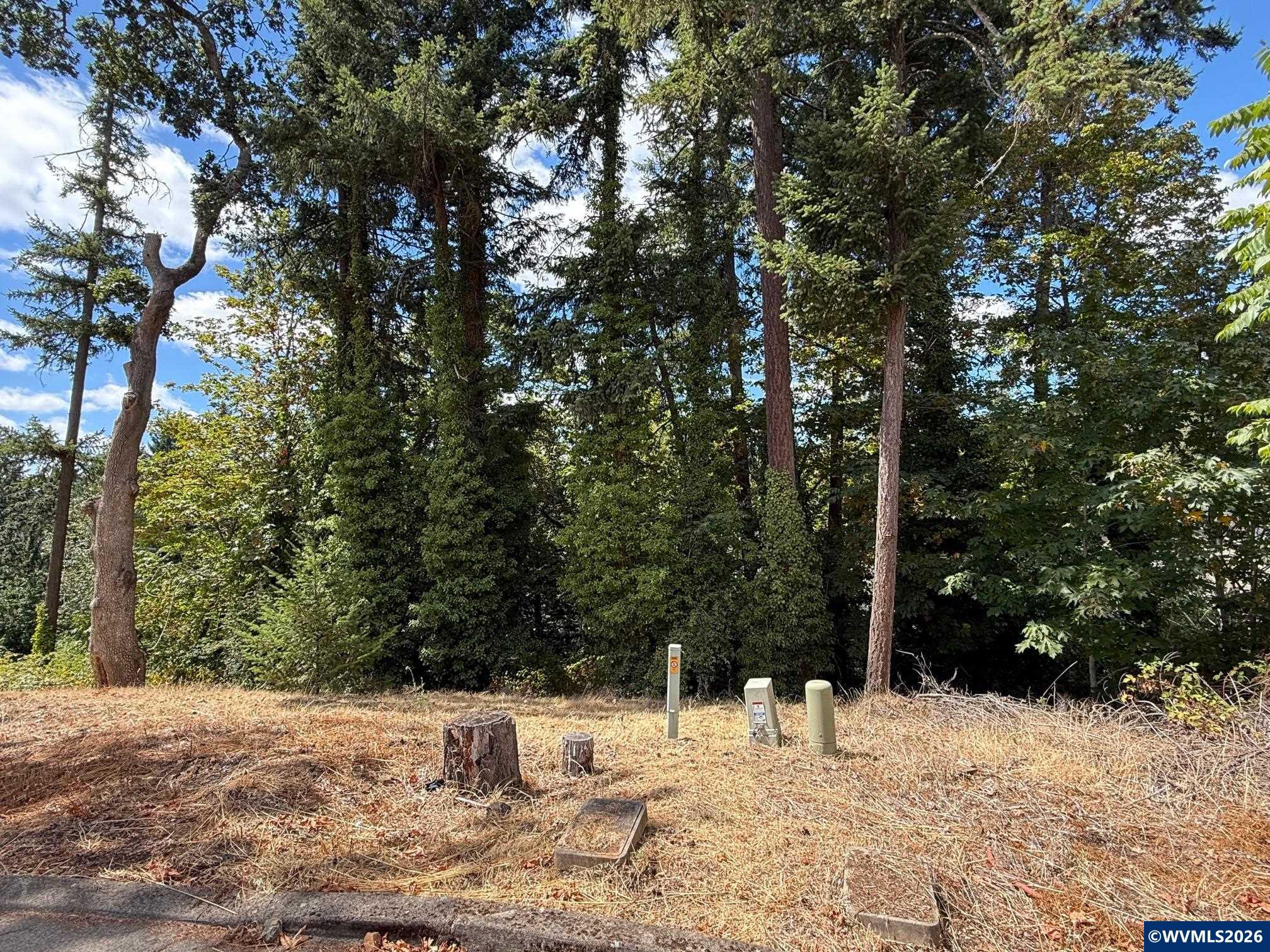 621 Timber View Lot 11 St NW