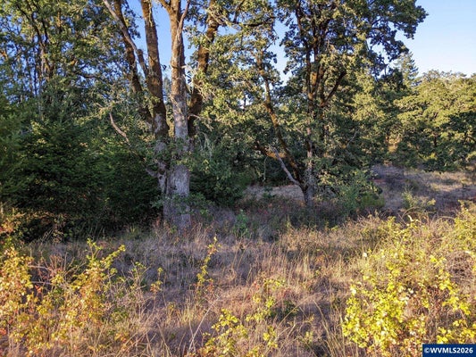 3733 NW GOLDFINCH DR, CORVALLIS, OR 97330 - Image 53bafeb2959eed6703fe415a4f5da6fe/385038983