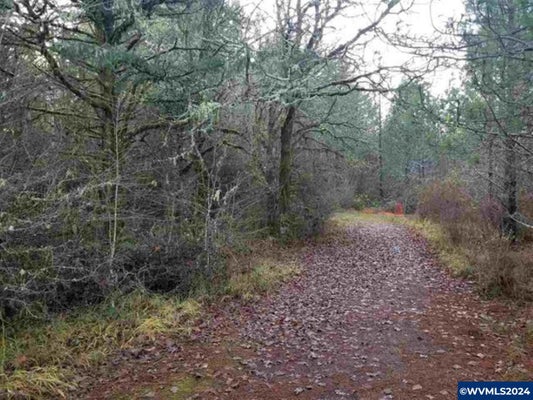 2655 NW FOOTHILL DR, CORVALLIS, OR 97330 - Image 5a9a40a9f3399eb3854fbc01bed4ba93/3843101929