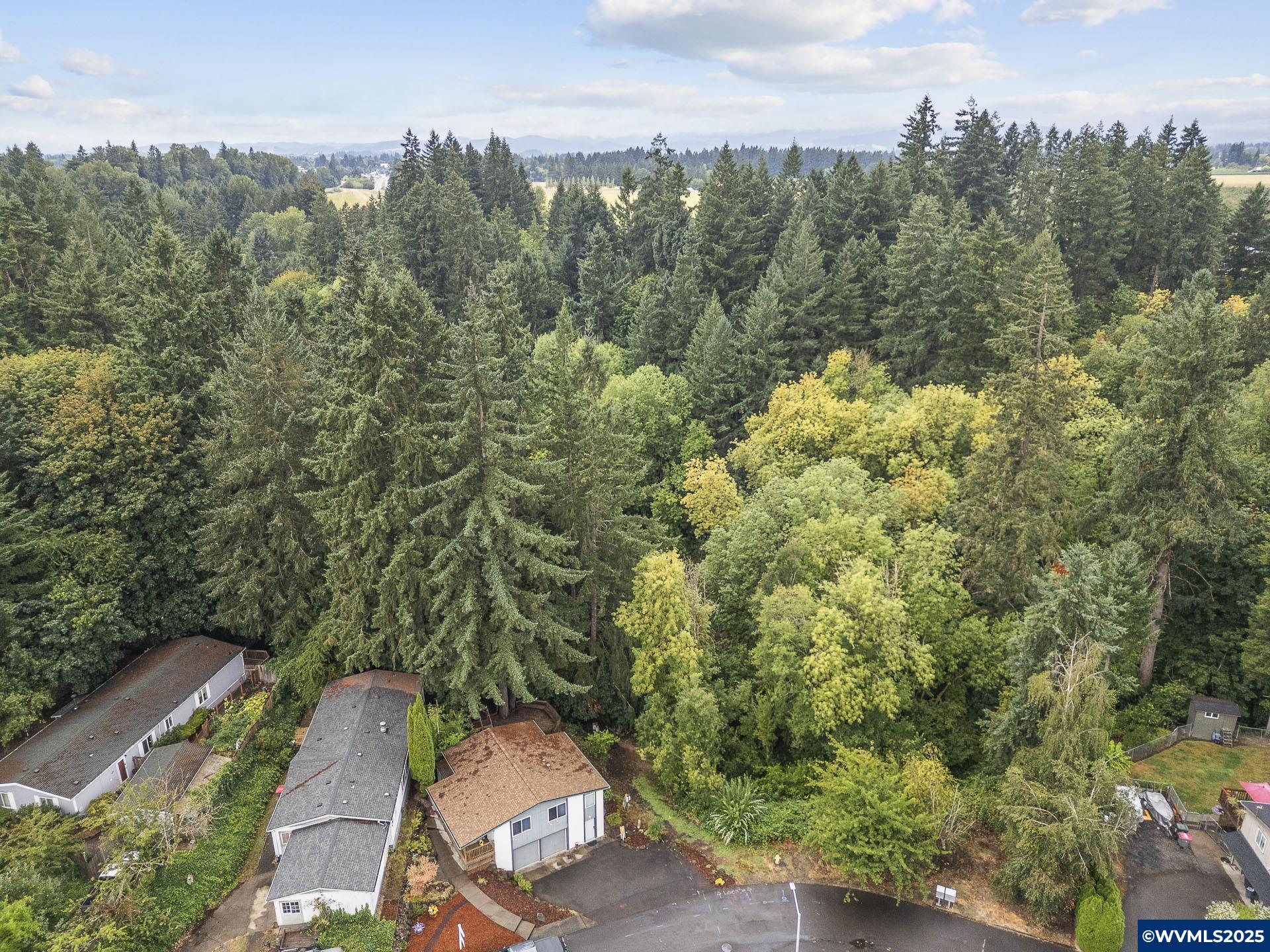 287 Canyon View Dr