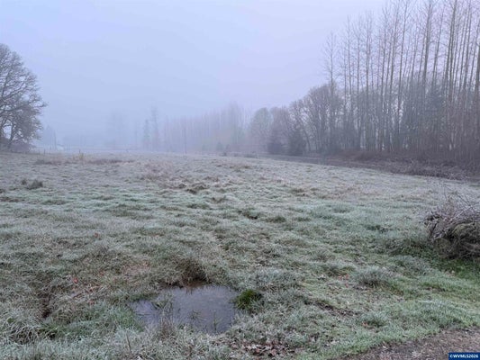 EMERALD GREEN LN SE, JEFFERSON, OR 97352 - Image 5f079d76a90516a22b67b1b383262ade/2625003434