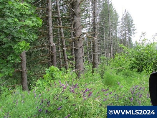 NW FAIRDALE RD, YAMHILL, OR 97148 - Image 666ced41769fc3143f7e928ba5fd9c47/2633070186