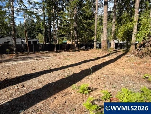 125 S DEER ST, DETROIT, OR 97342 - Image 6df50d7b5b5f334b83a6fc0db52be055/2683743365