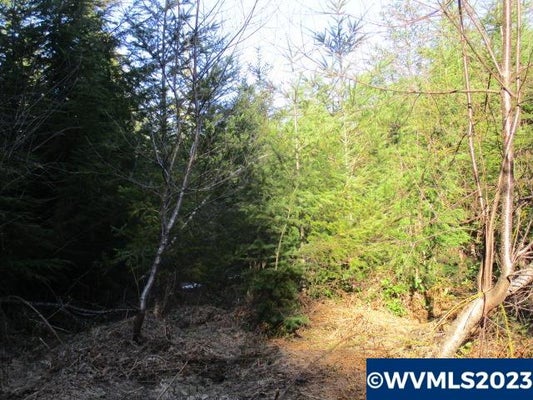 SE HARVEY RD, ESTACADA, OR 97023 - Image 70f8fcbf1ce110f2a144708189e4f28e/2563902446