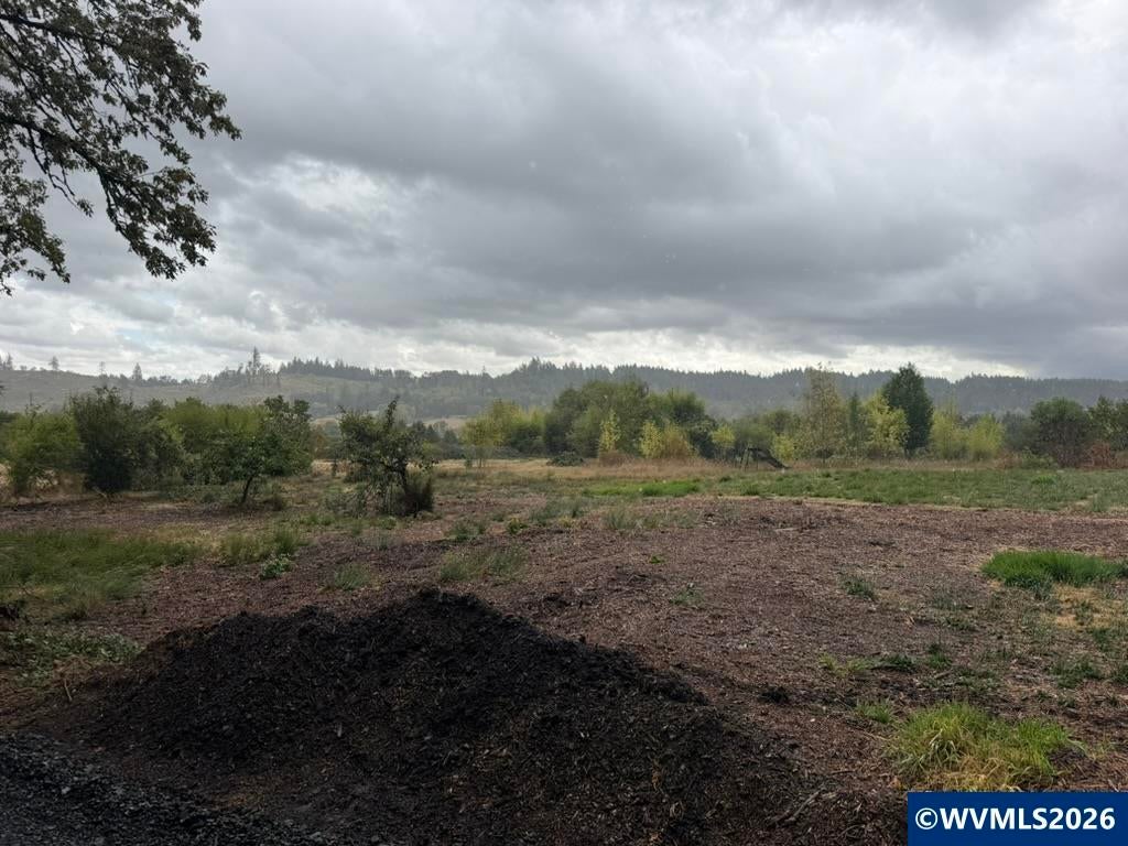 TA 015358 NE Crane Ln