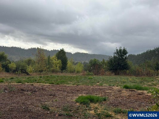NE CRANE LN, CORVALLIS, OR 97330 - Image 7f8141892c3d3d997c93f342997d405f/4044831781