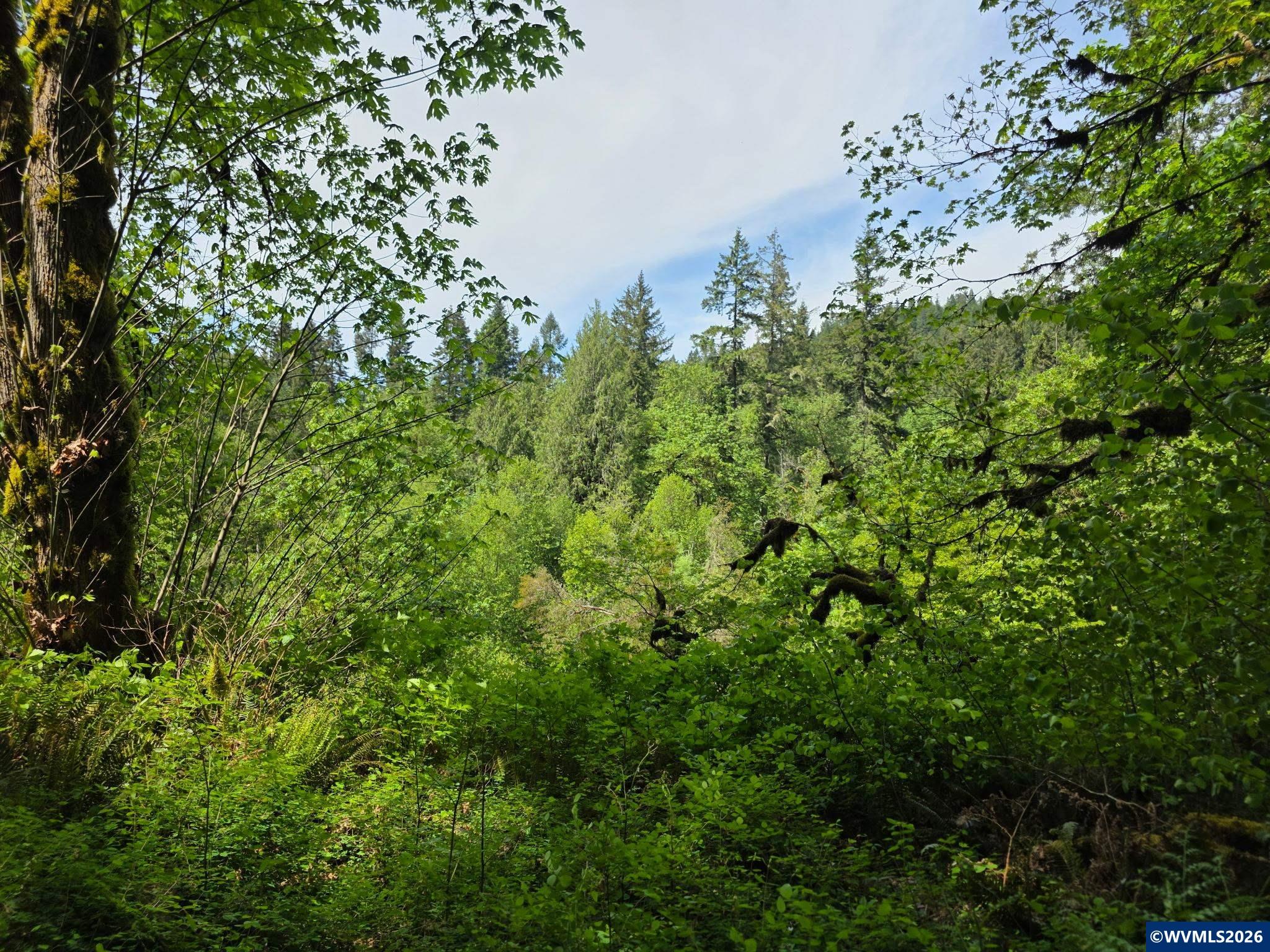 Lot 500 Lewis Cemetery Rd