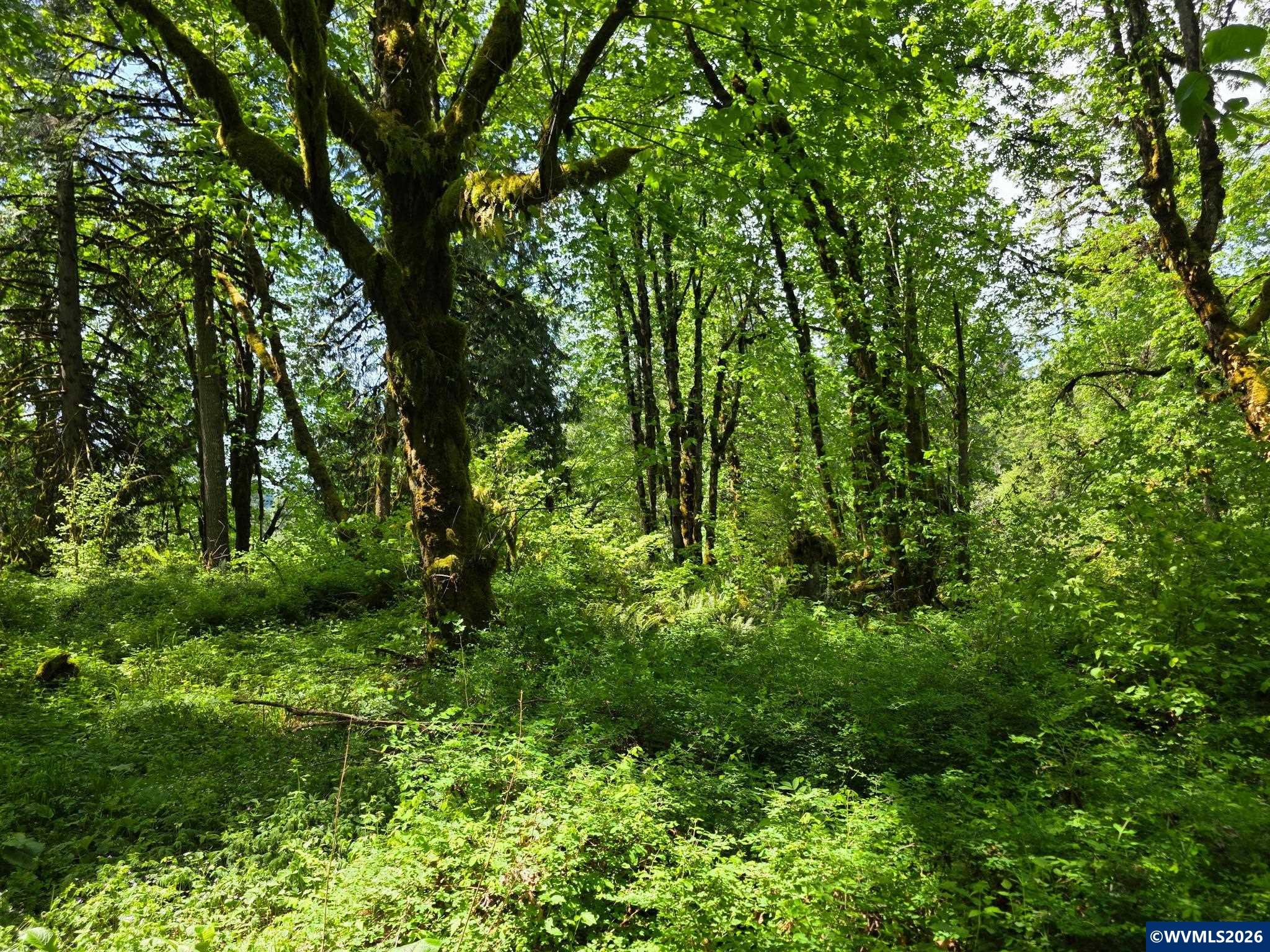 Lot 500 Lewis Cemetery Rd