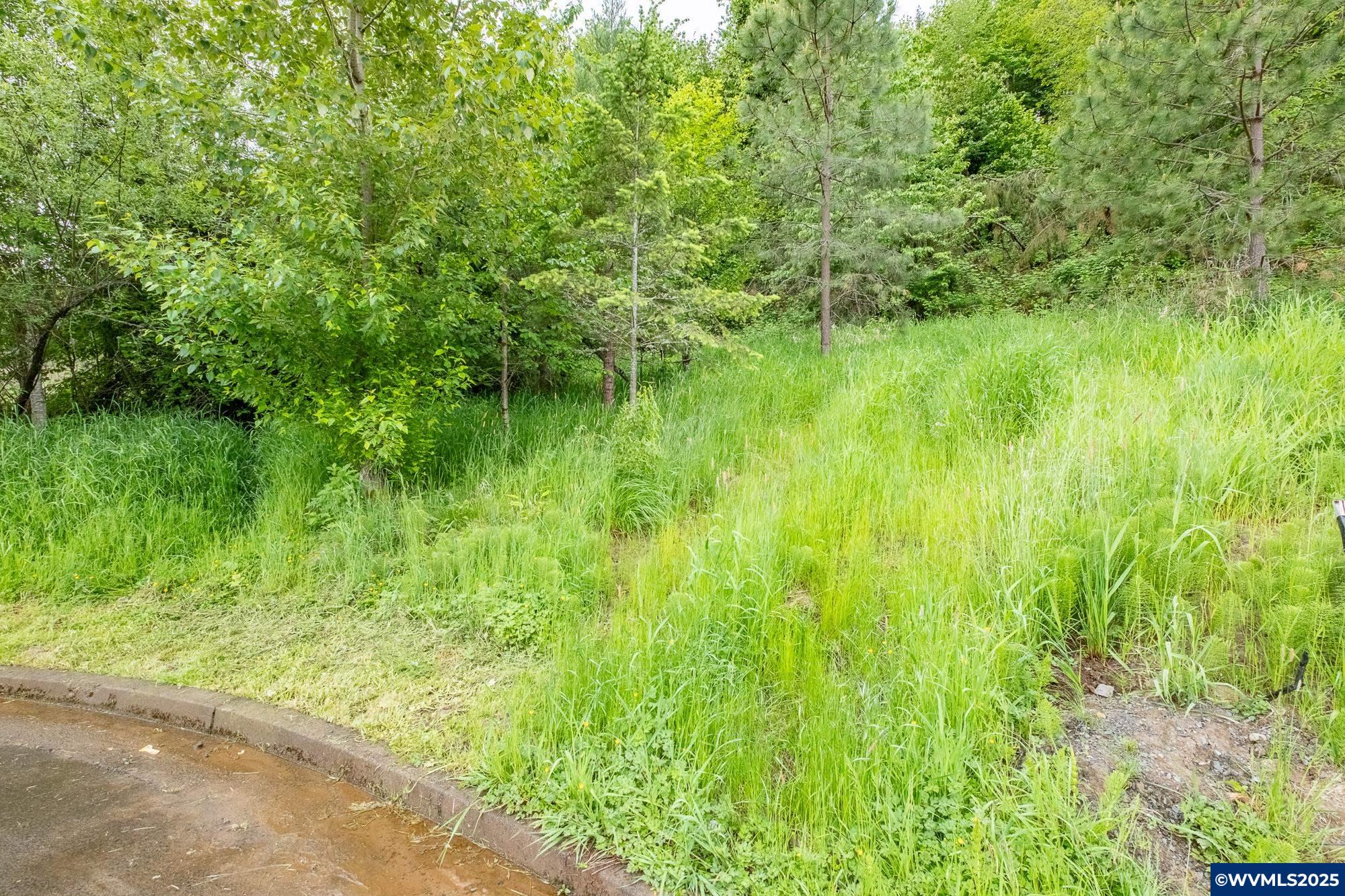 Salem, Oregon 97304, United States, ,Land,Active,102863