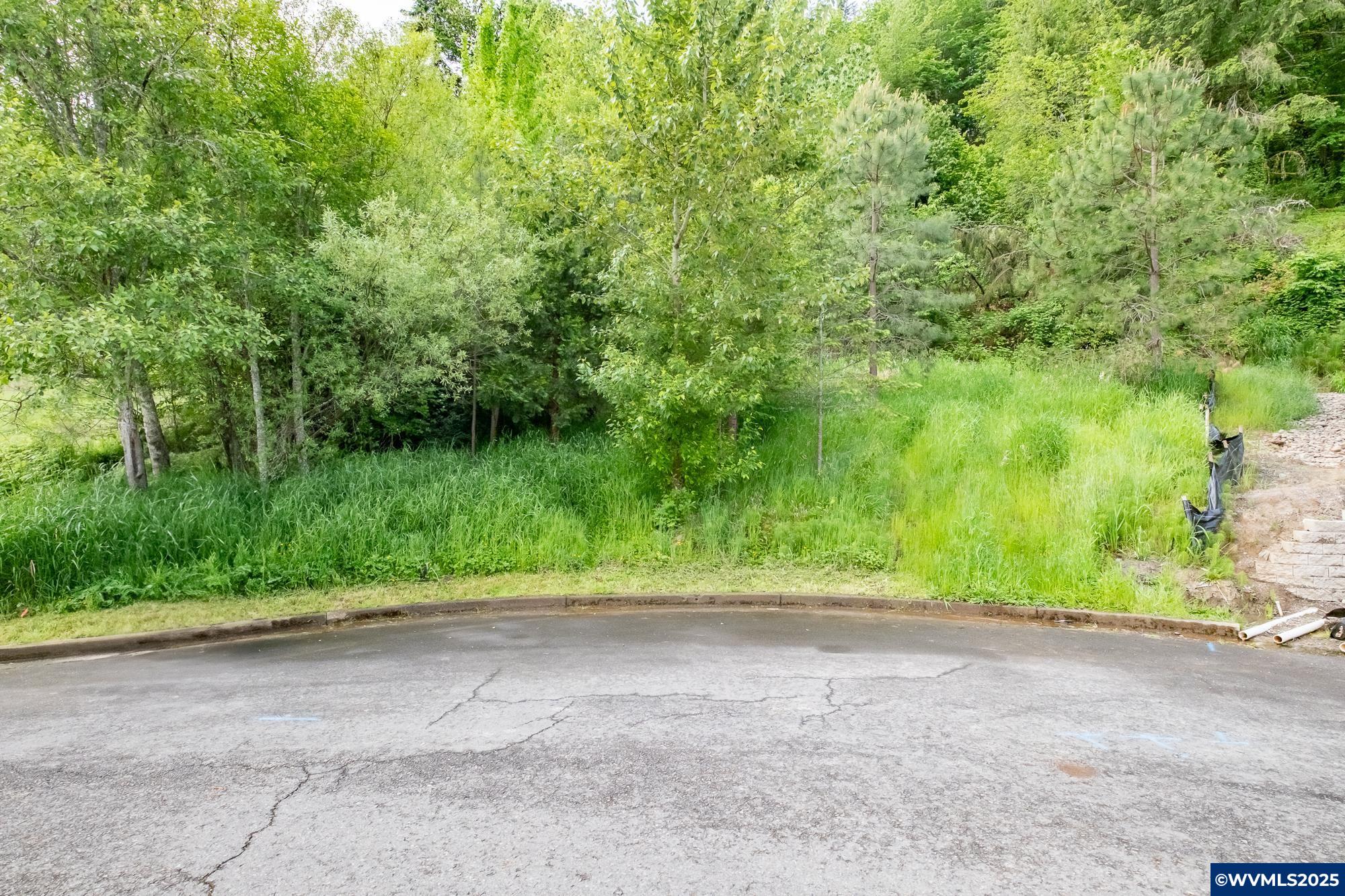 Salem, Oregon 97304, United States, ,Land,Active,102863