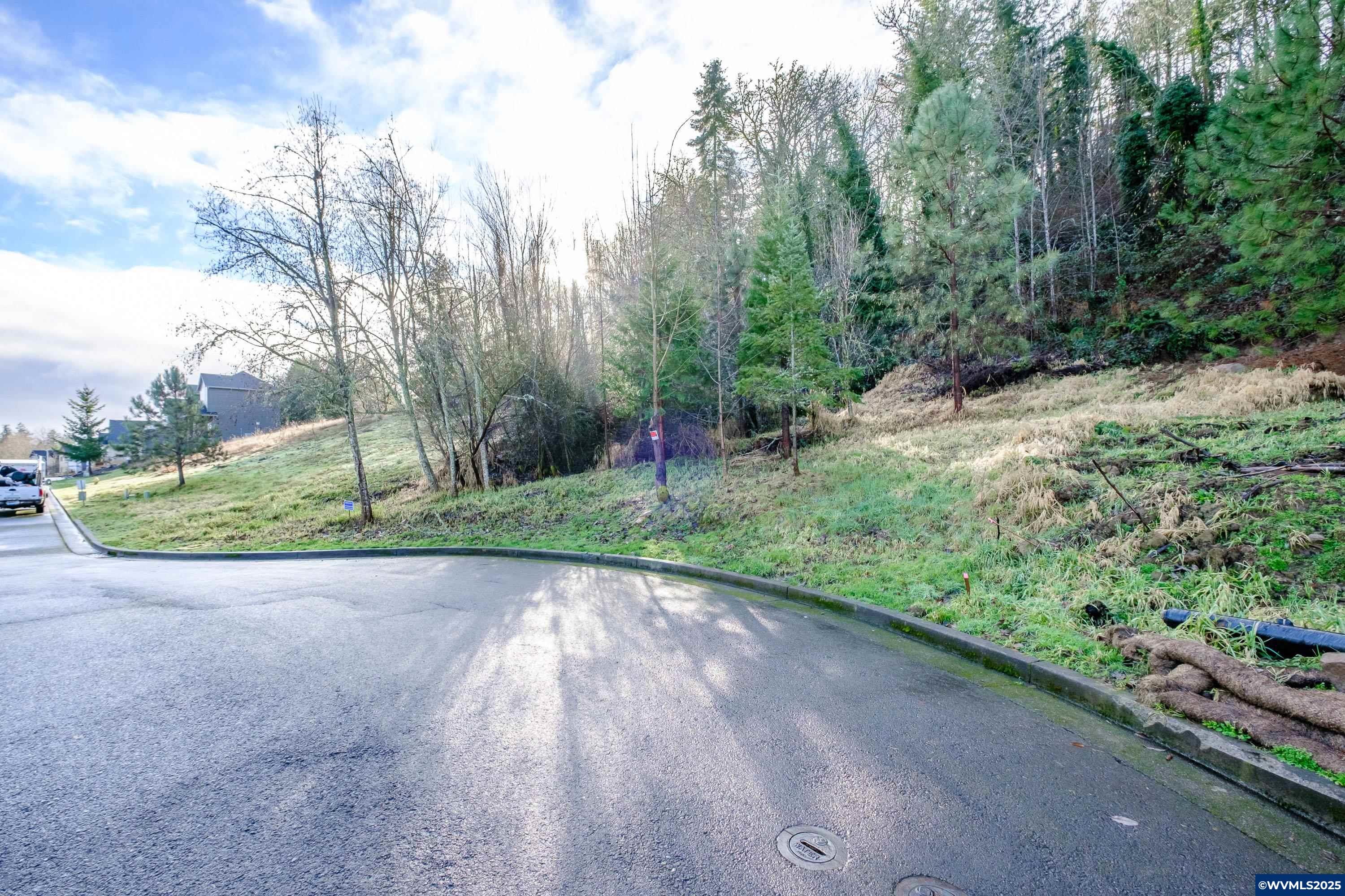 Salem, Oregon 97304, United States, ,Land,Active,102863