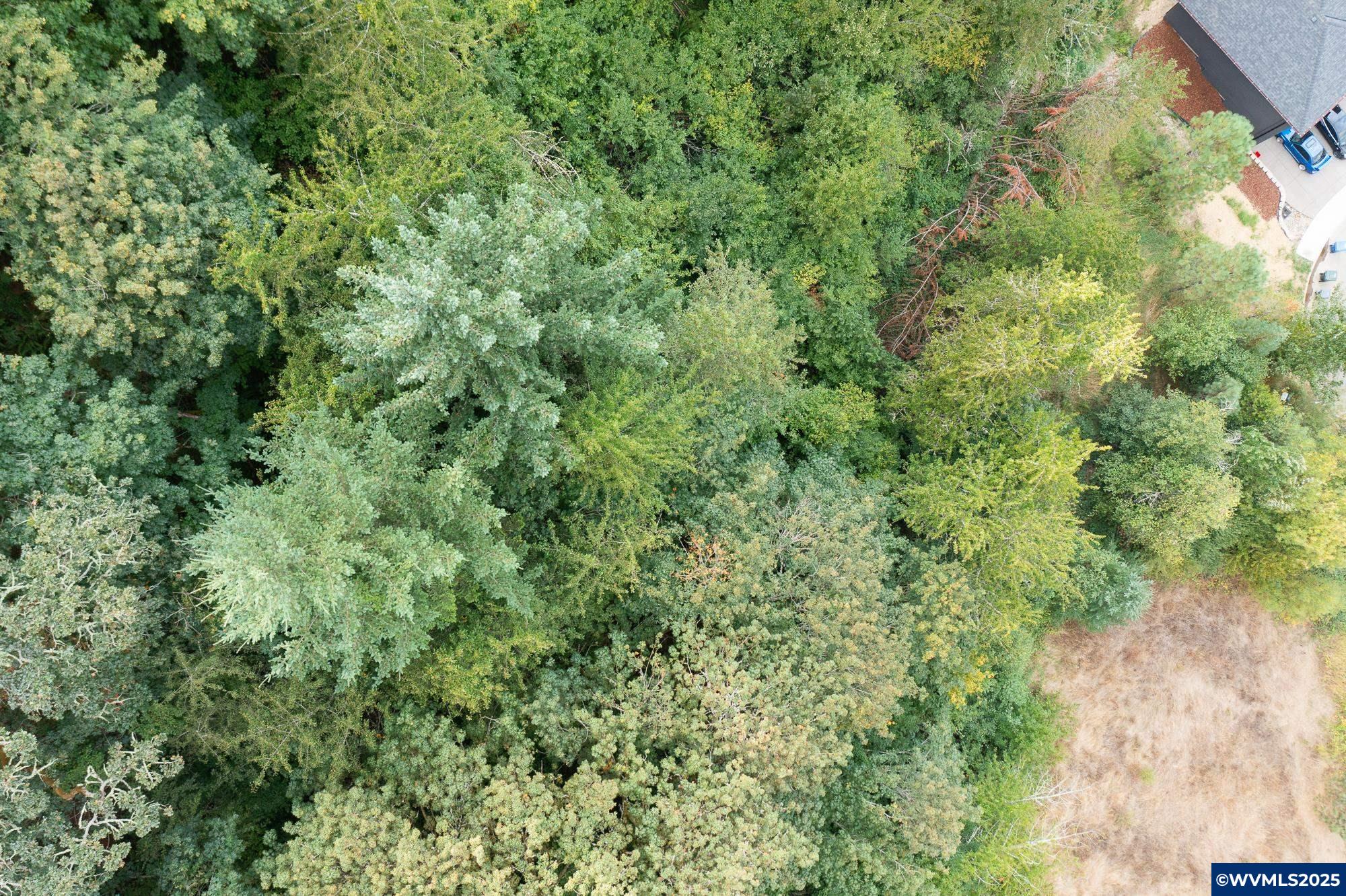 Salem, Oregon 97304, United States, ,Land,Active,102863