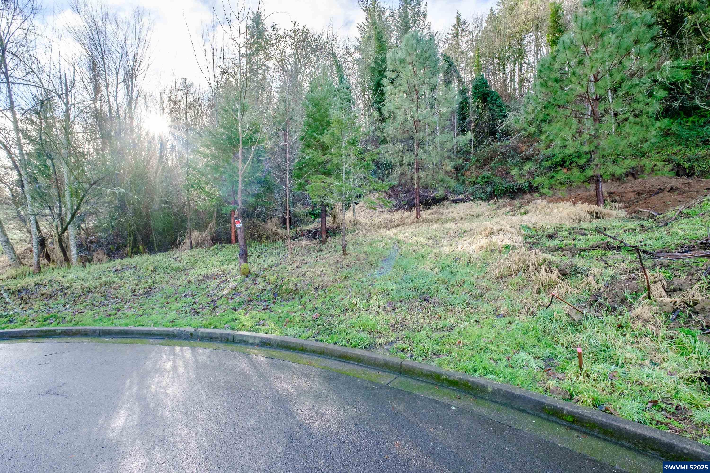 Salem, Oregon 97304, United States, ,Land,Active,102863