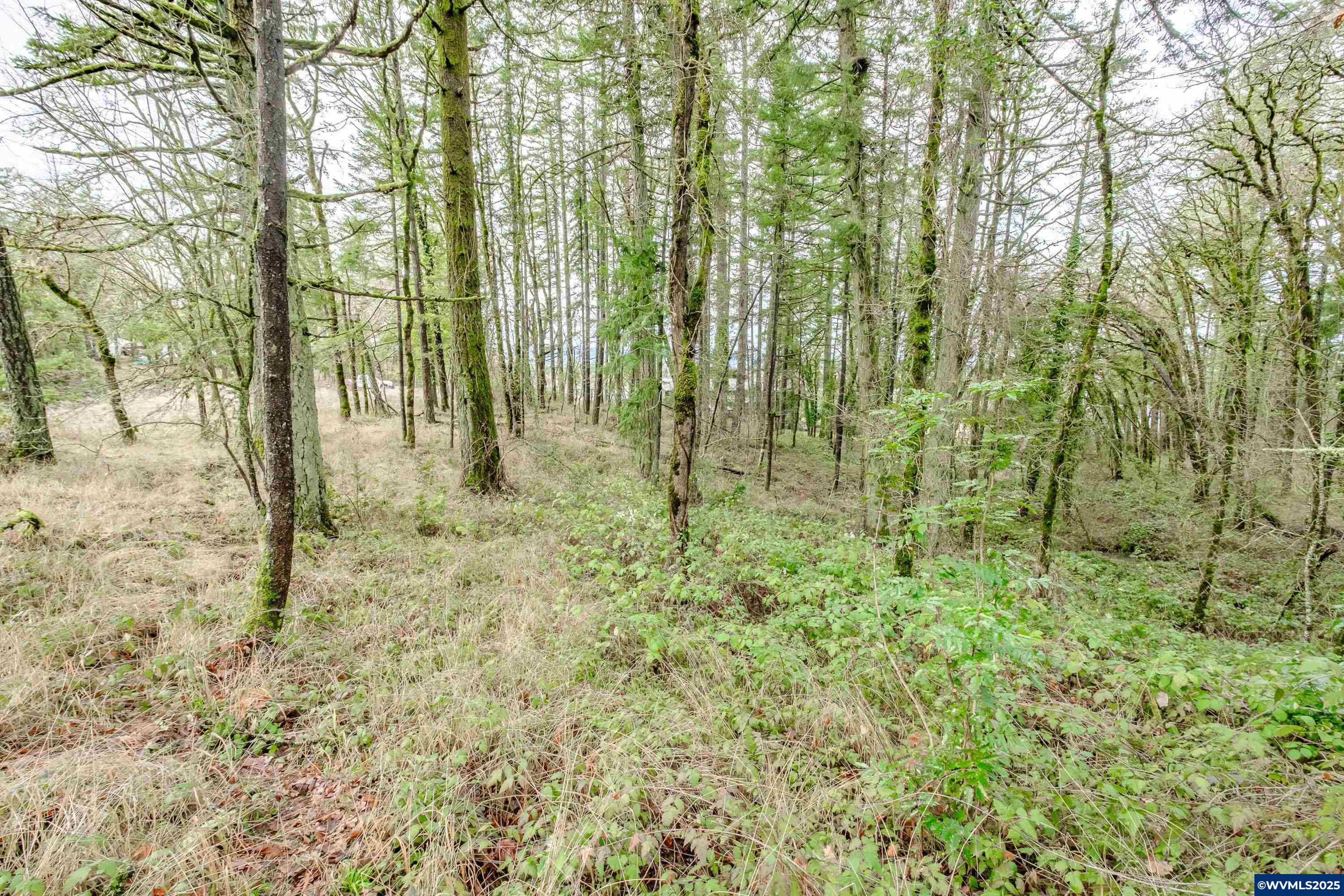 Salem, Oregon 97304, United States, ,Land,Active,102863