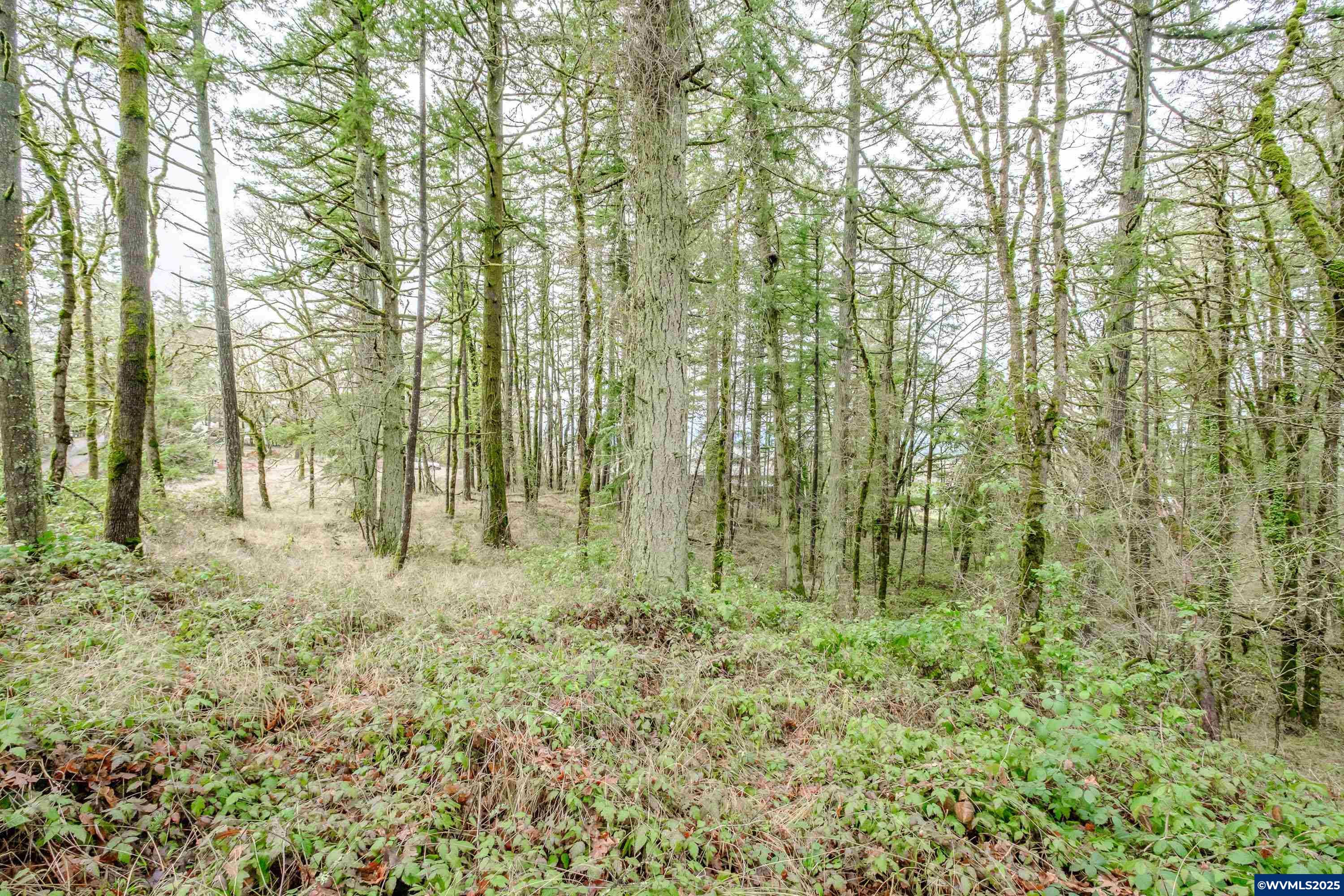 Salem, Oregon 97304, United States, ,Land,Active,102863