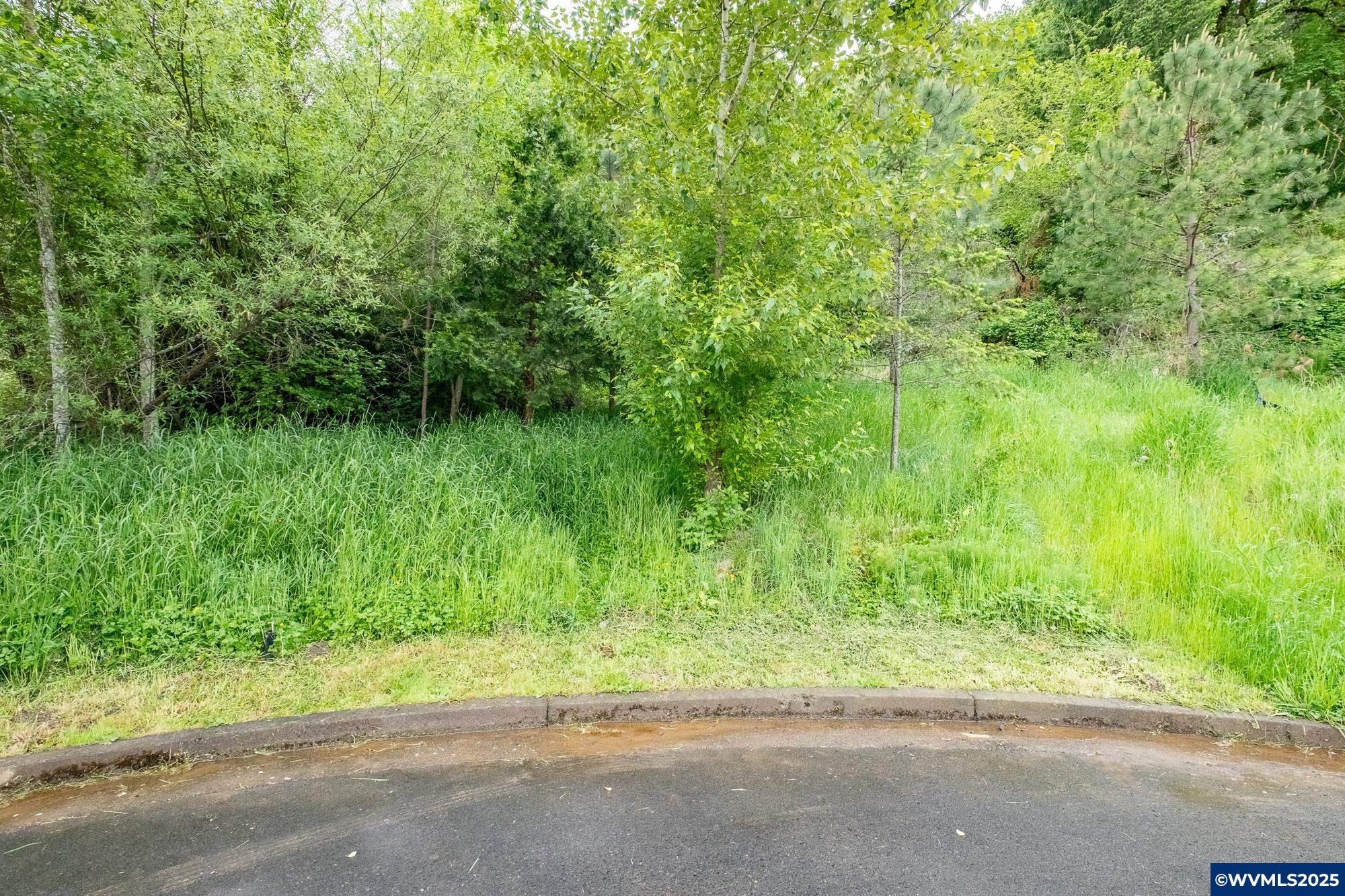 Salem, Oregon 97304, United States, ,Land,Active,102863