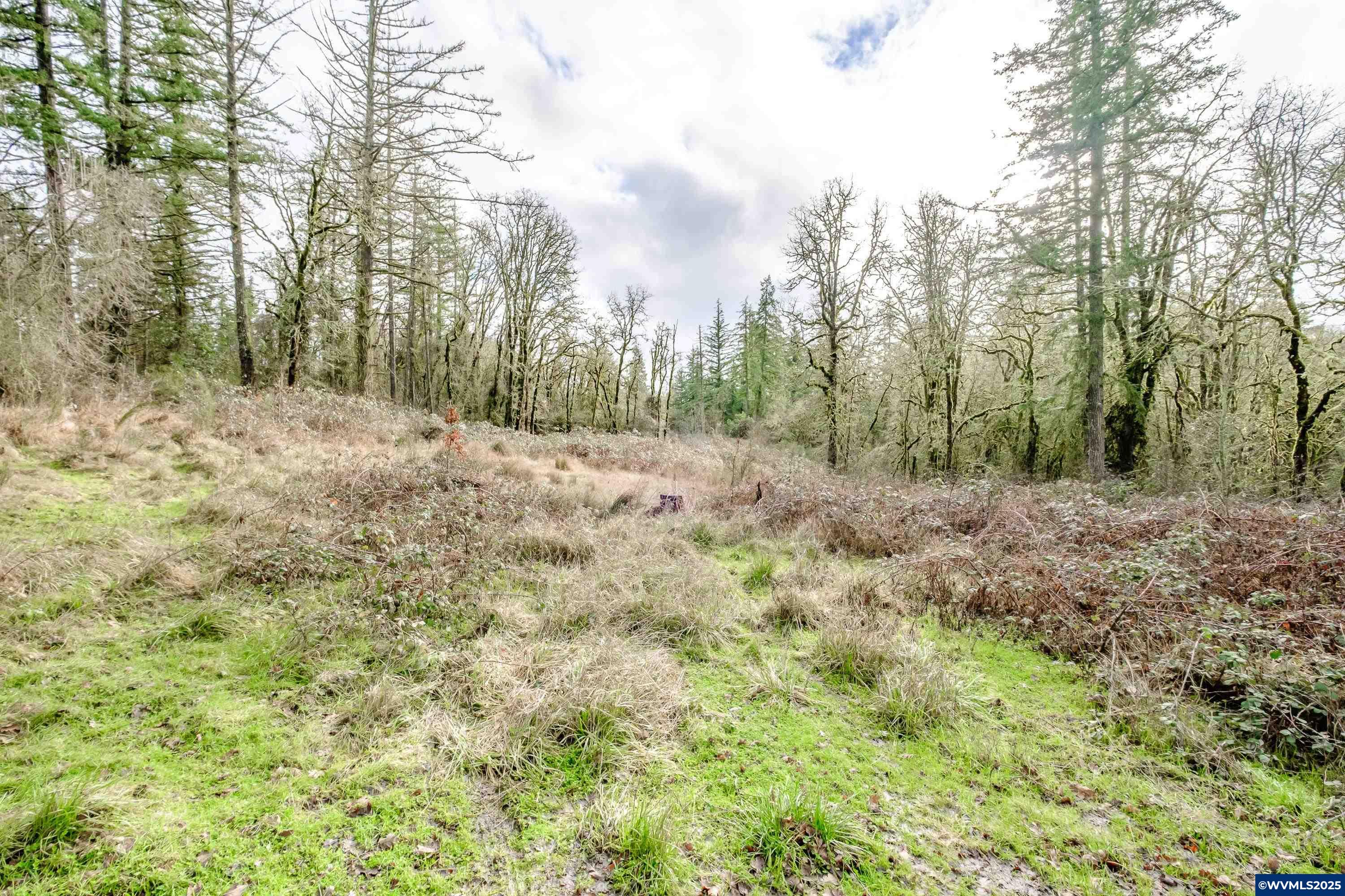 Salem, Oregon 97304, United States, ,Land,Active,102863