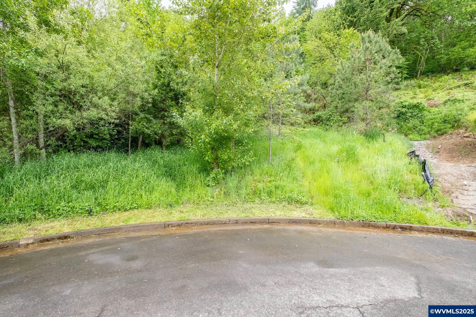 Salem, Oregon 97304, United States, ,Land,Active,102863