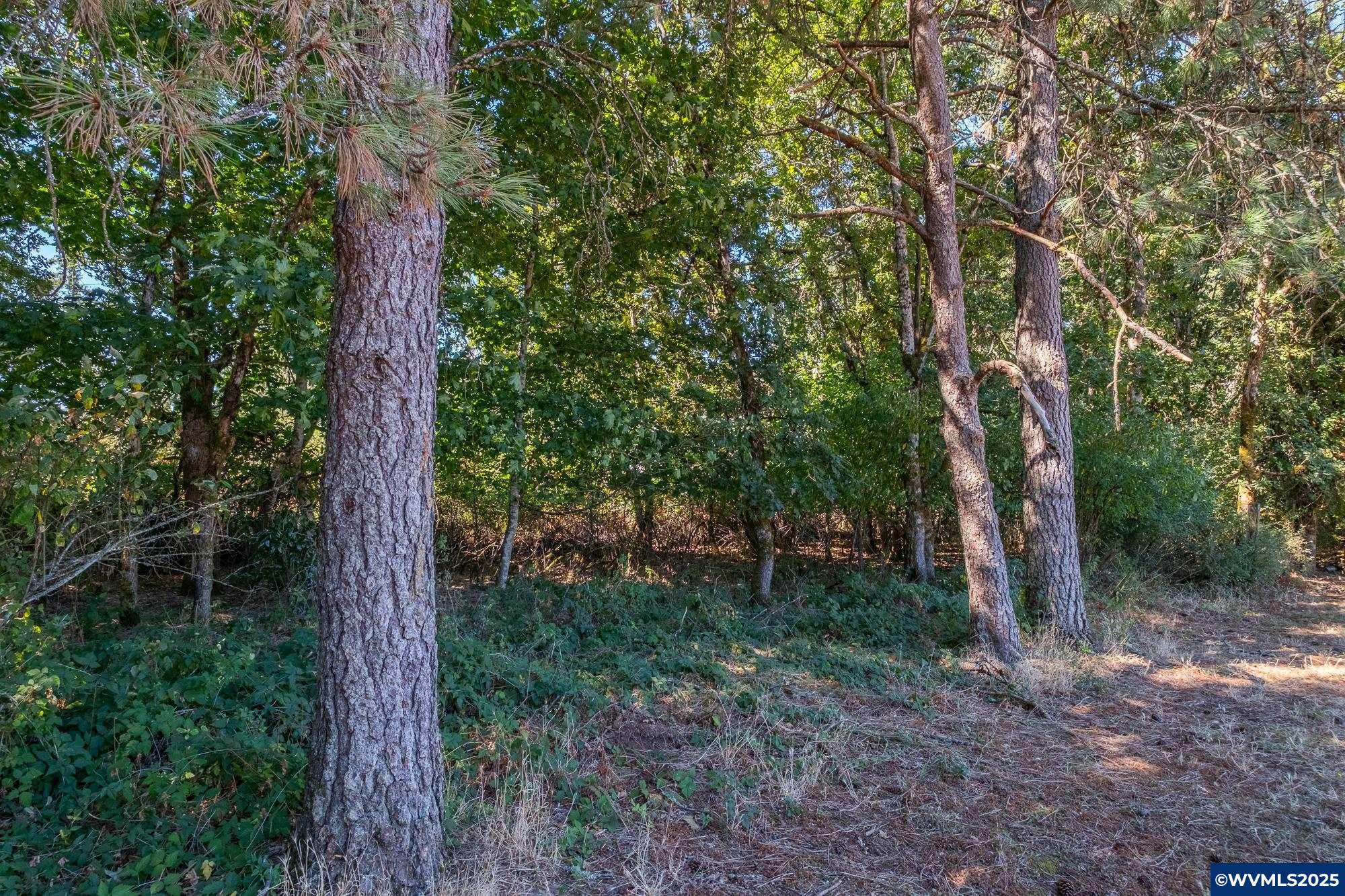 Turner, Oregon 97392, United States, ,Land,Active,189171