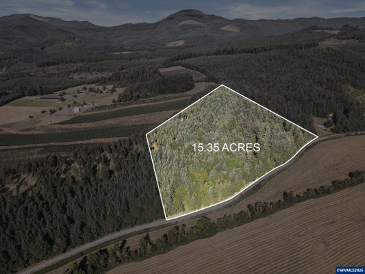27020 REESE CREEK RD, MONROE, OR 97456 - Image 8e1ec2e99b789137e1287ddf5422677d/3141493317