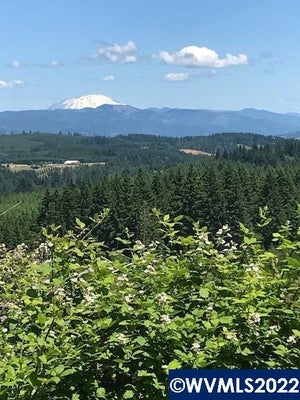 CATER RD, WARREN, OR 97053 - Image a08faebbafa8adfac73f5b17dd5a782f/3936443483