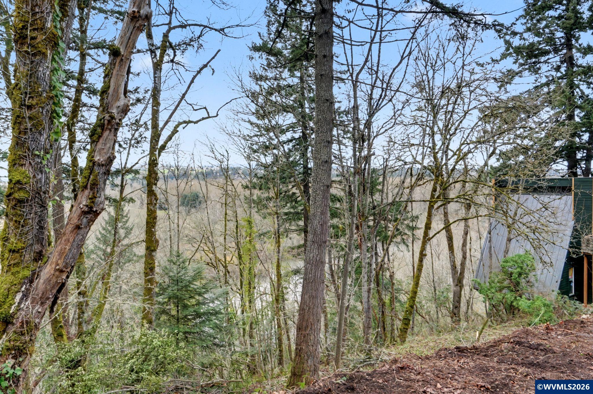 1765 (next to) Alta View Dr S