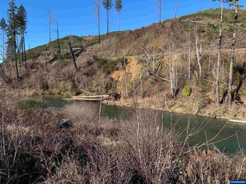 25497 Taylor Park Rd SE Lyons OR 97358