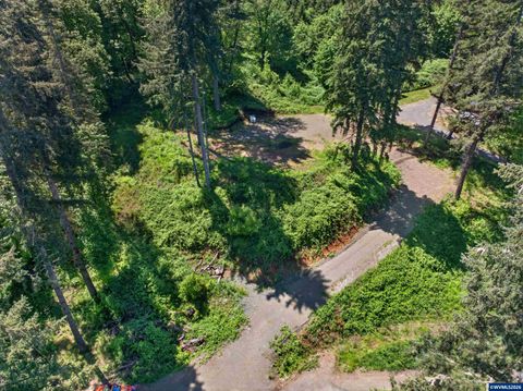 40080 Highway 228 Sweet Home OR 97386
