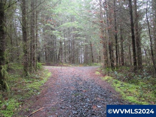 ZURFLUH RD, SCIO, OR 97374 - Image a93f3fd3029aa41c03b24e6ba33a6b4b/373505101