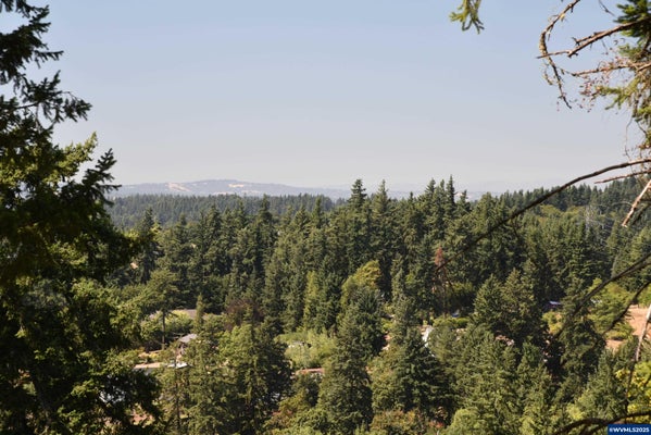 2 MOUNTAIN VIEW LN, LAKE OSWEGO, OR 97035 - Image aa7ca724d41d35ac6024b86ea67900c0/3746557460